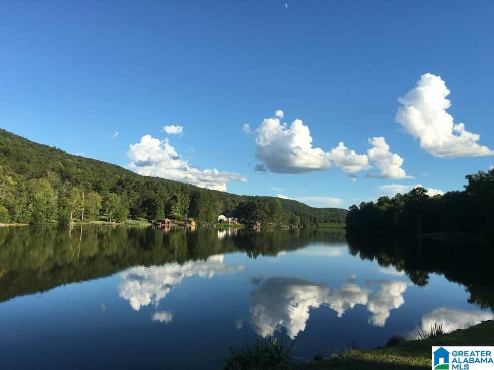 Image 1: View