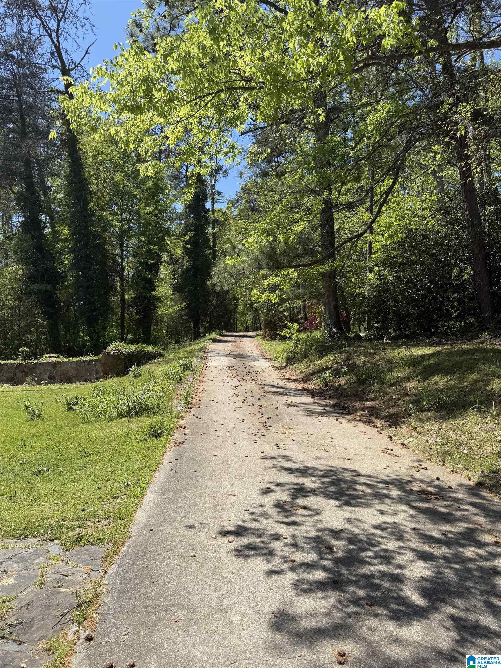 Image 4: Driveway
