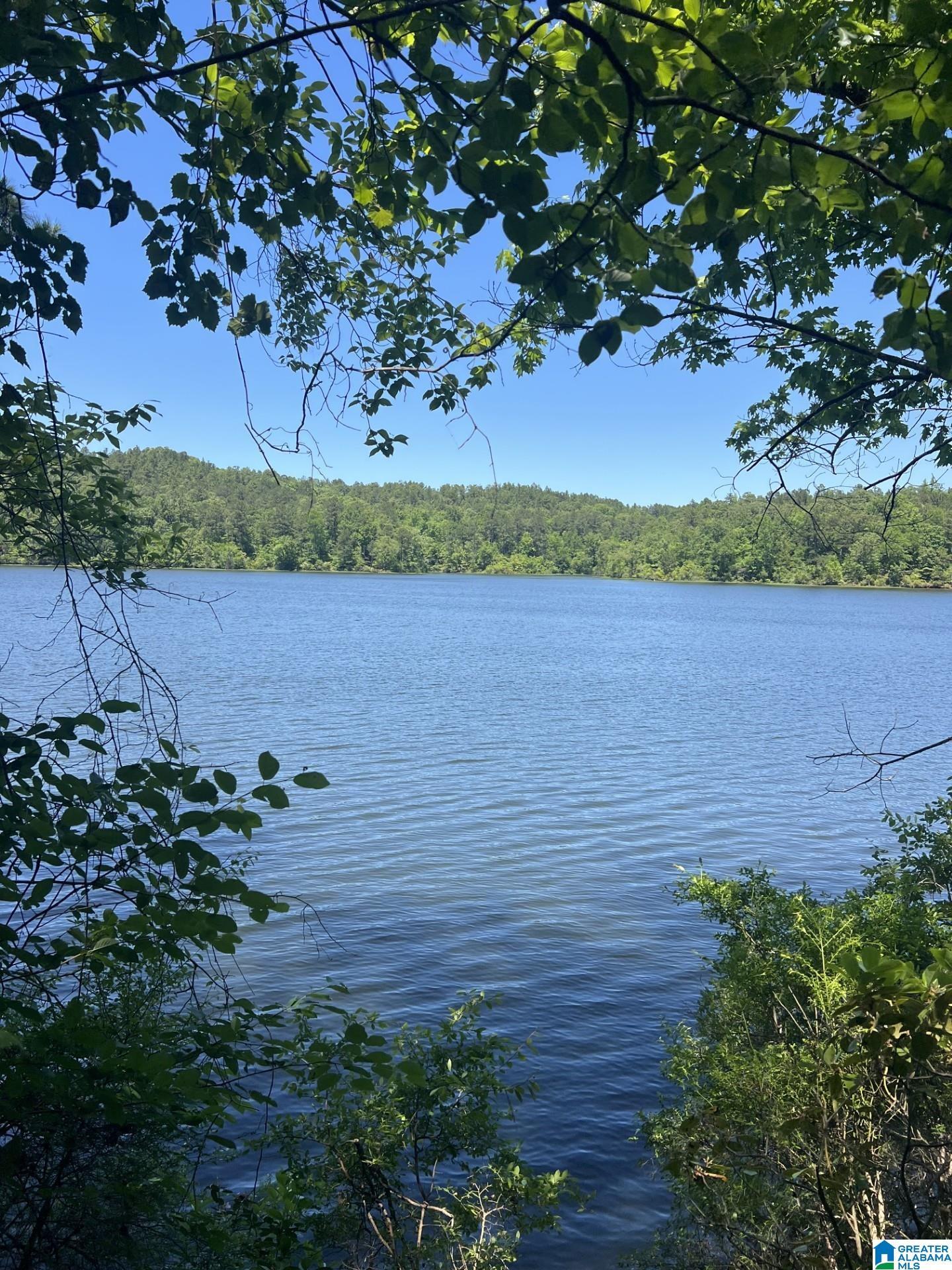 Image 1: This is the view from the TWO lots!