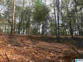 Lot 54 & Lot 37 SUNSET LN