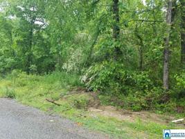 Lot # 242 PUTMAN DR