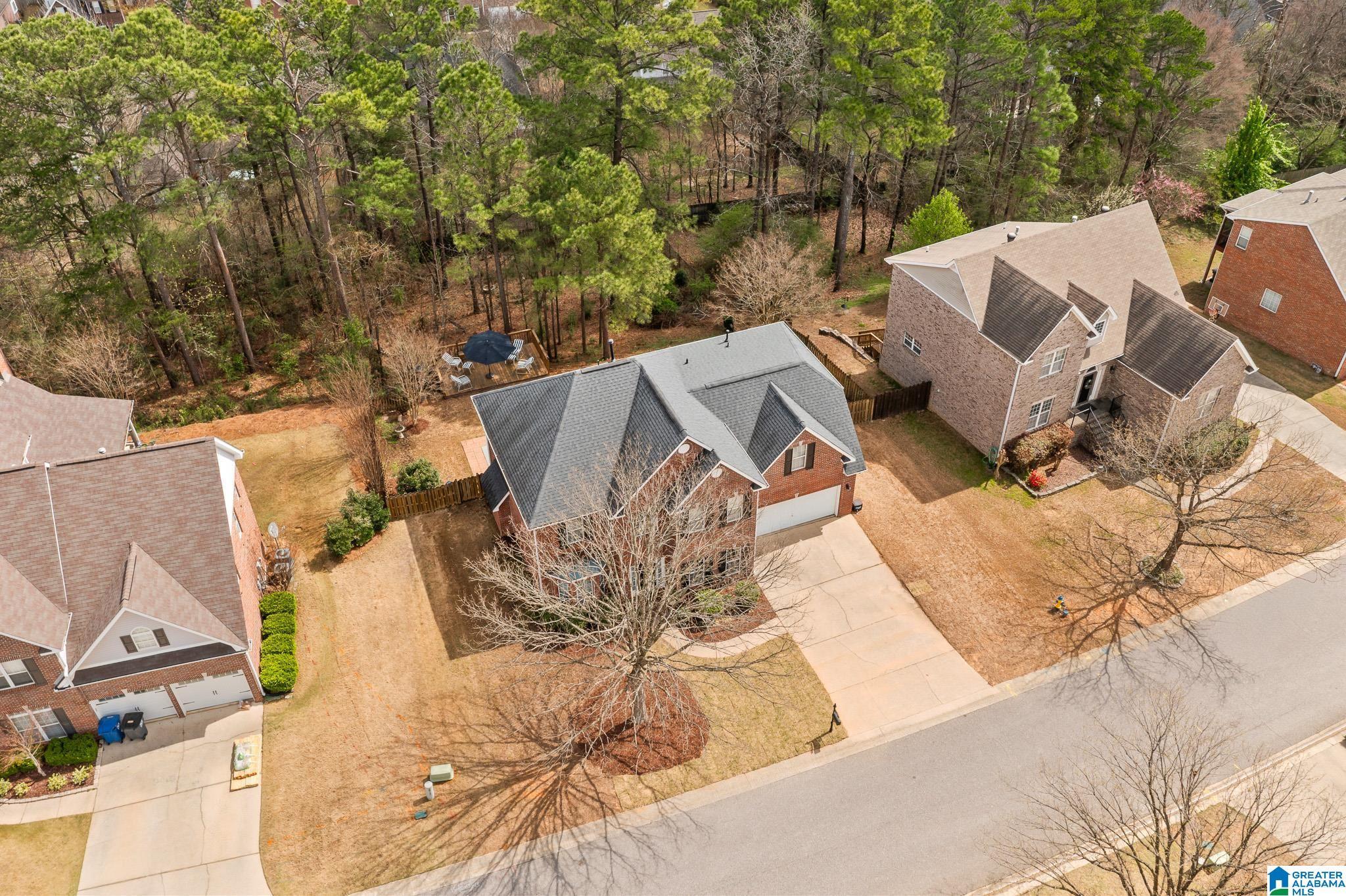 Image 3: Aerial View