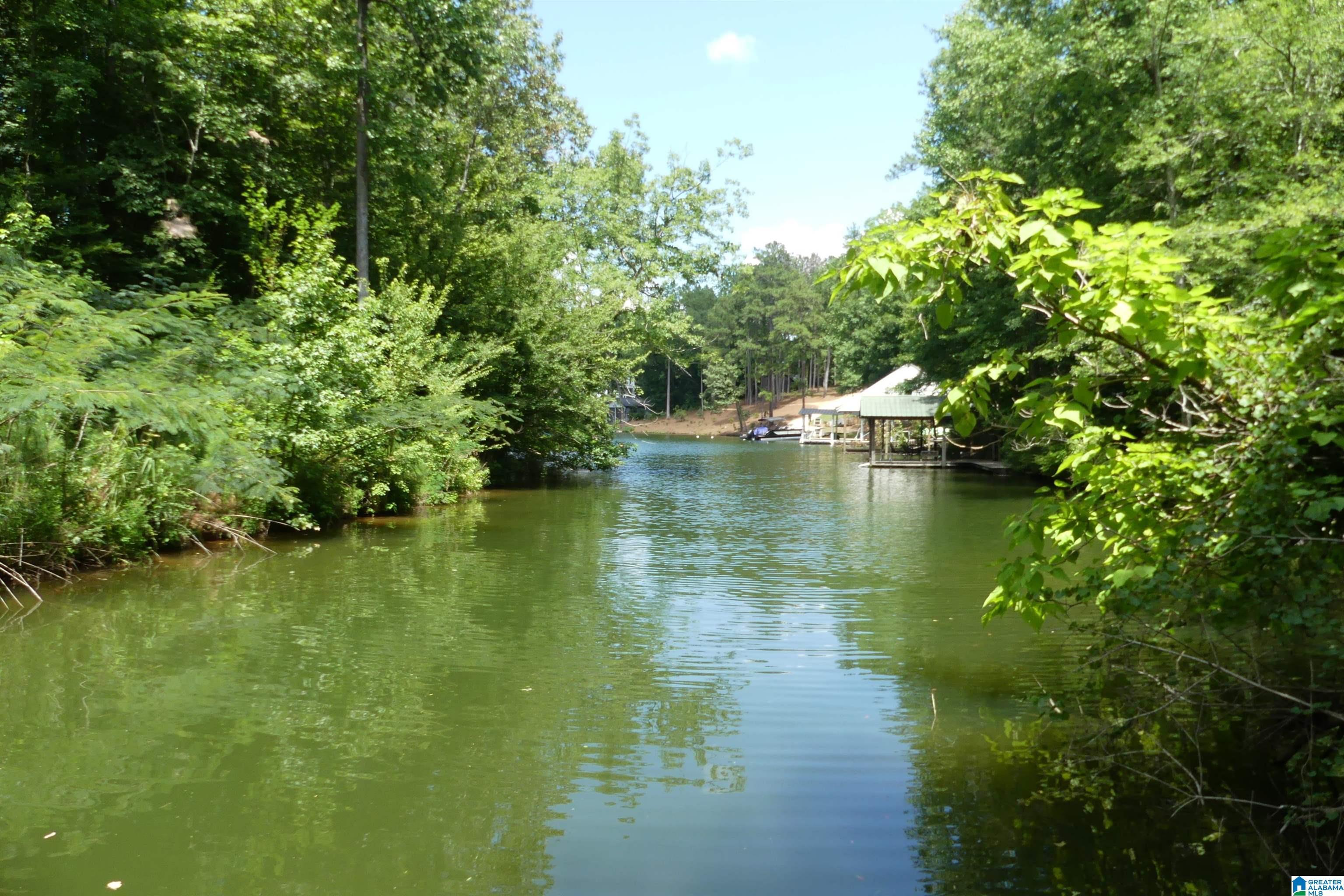 Image 1: 2.93 ACRES ON LAKE WEDOWEE