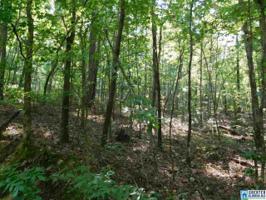 Lot 1 WEEMS RD