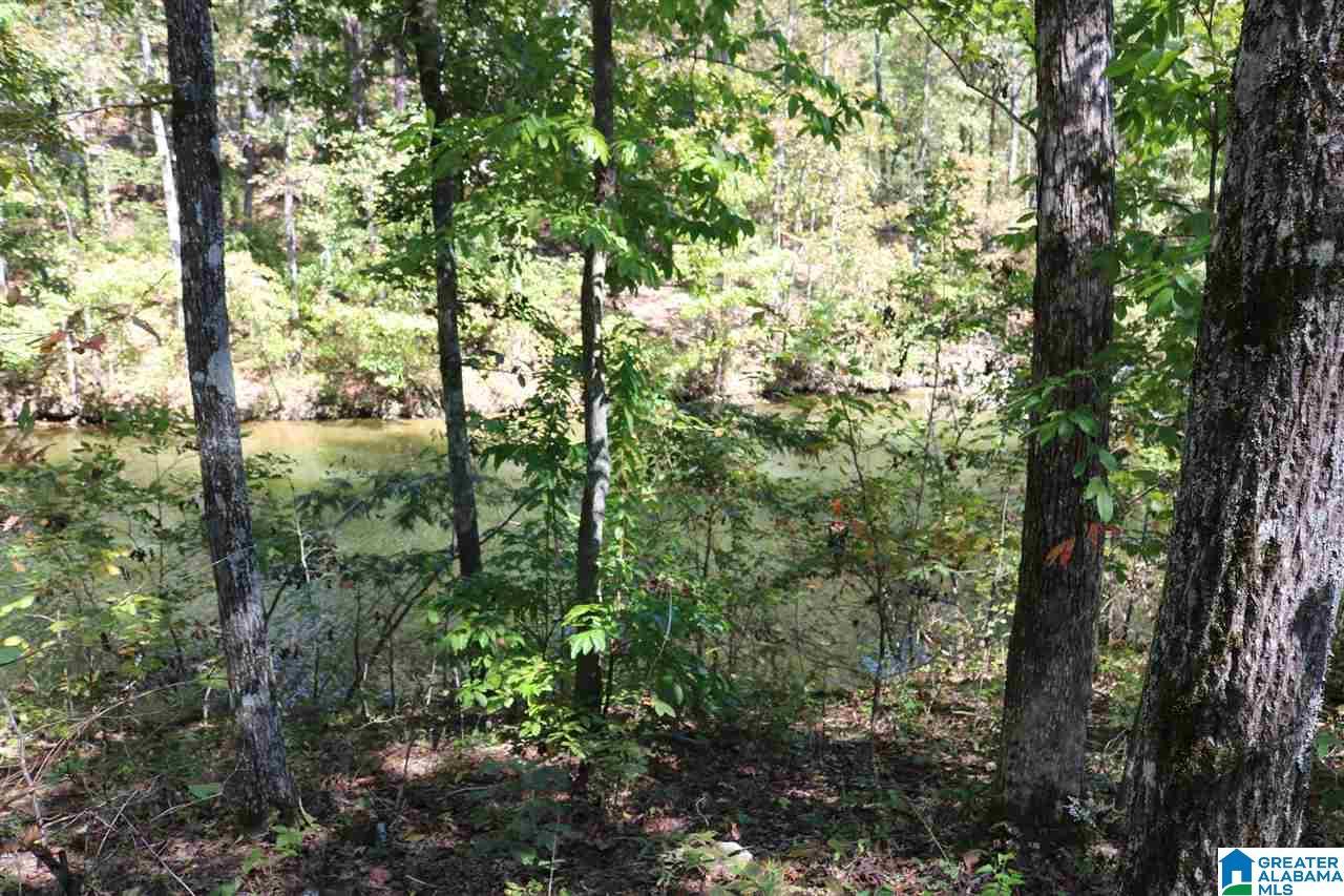 Image 4: Image 4