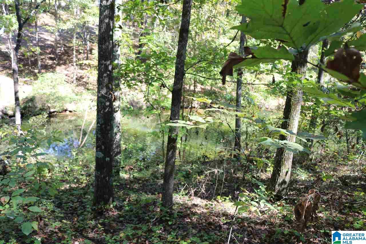Image 1: Image 1