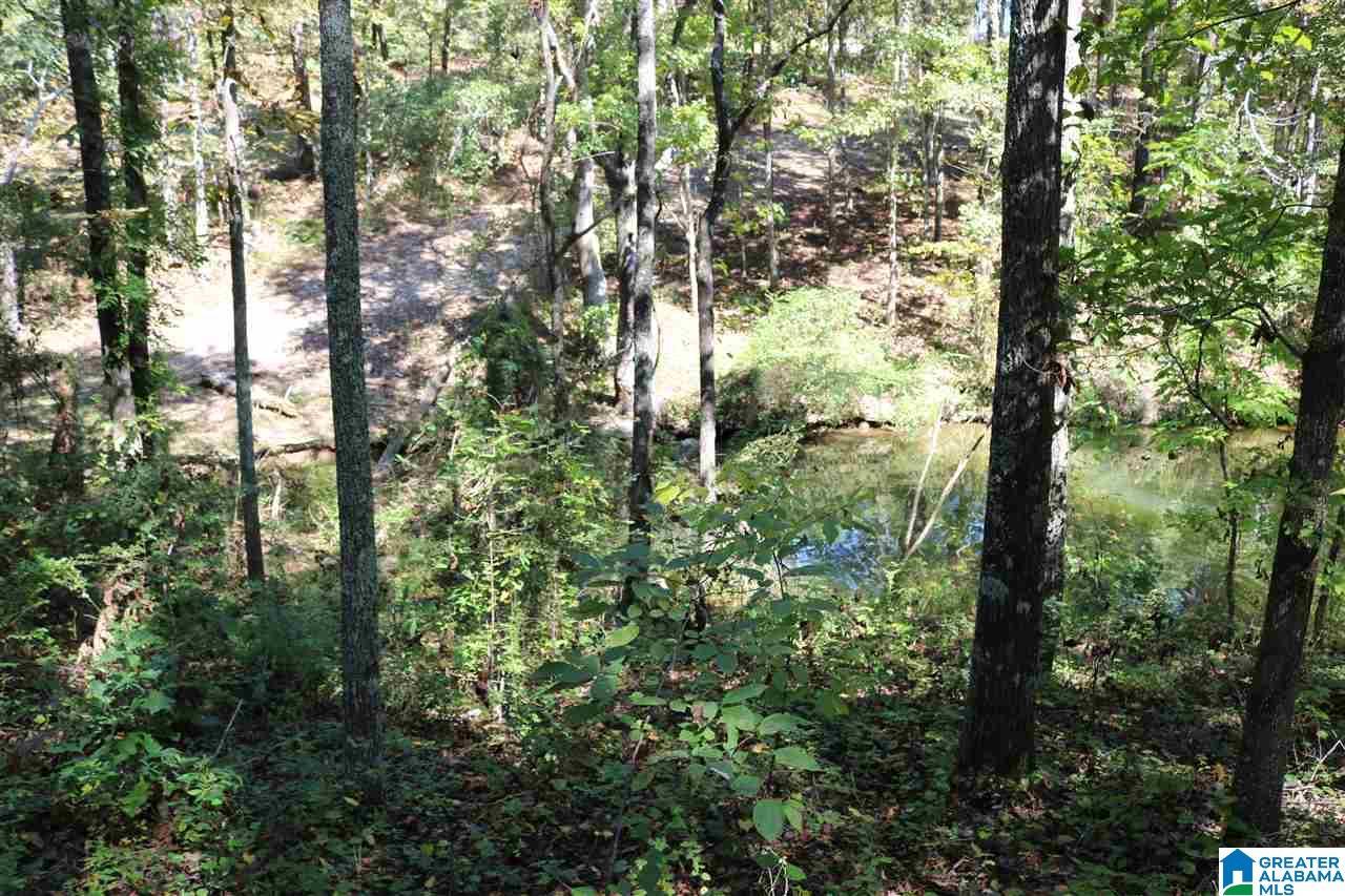 Image 4: Image 4