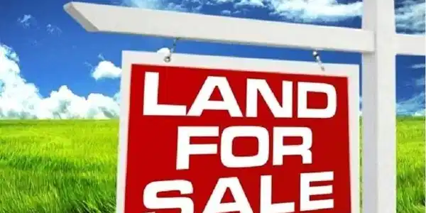 Lot 1 DEER CHASE RD