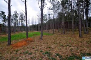 Lot 5 CO RD 1169