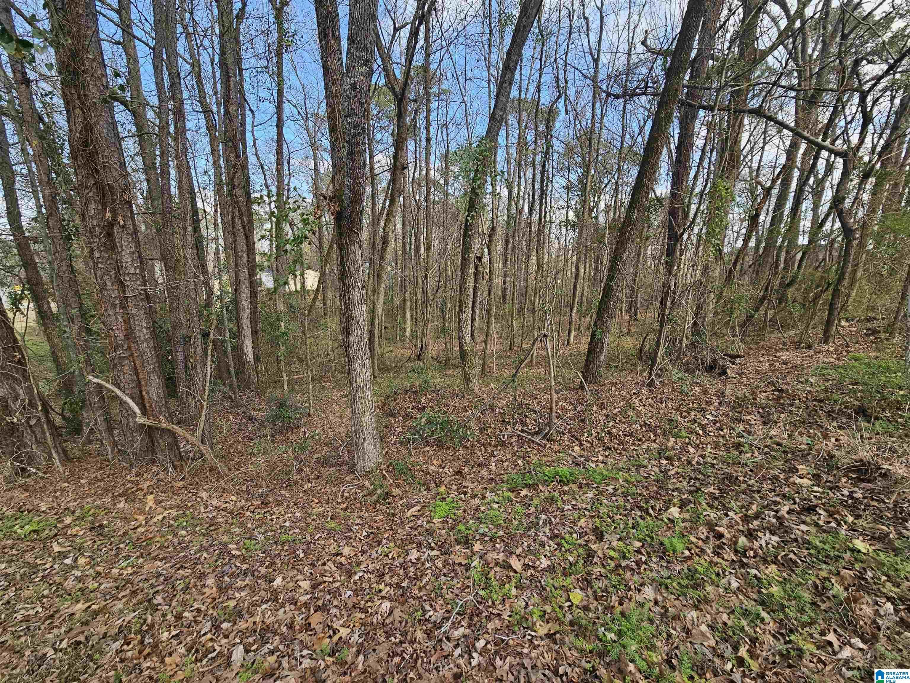 Image 1: View