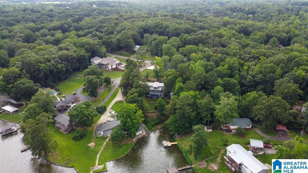 Image 2: Aerial View