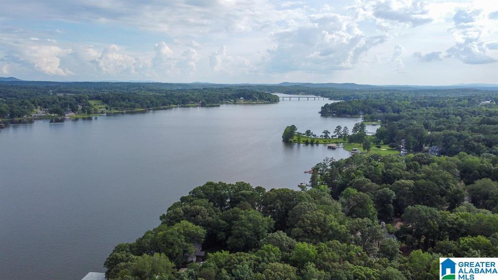 Image 3: Aerial View