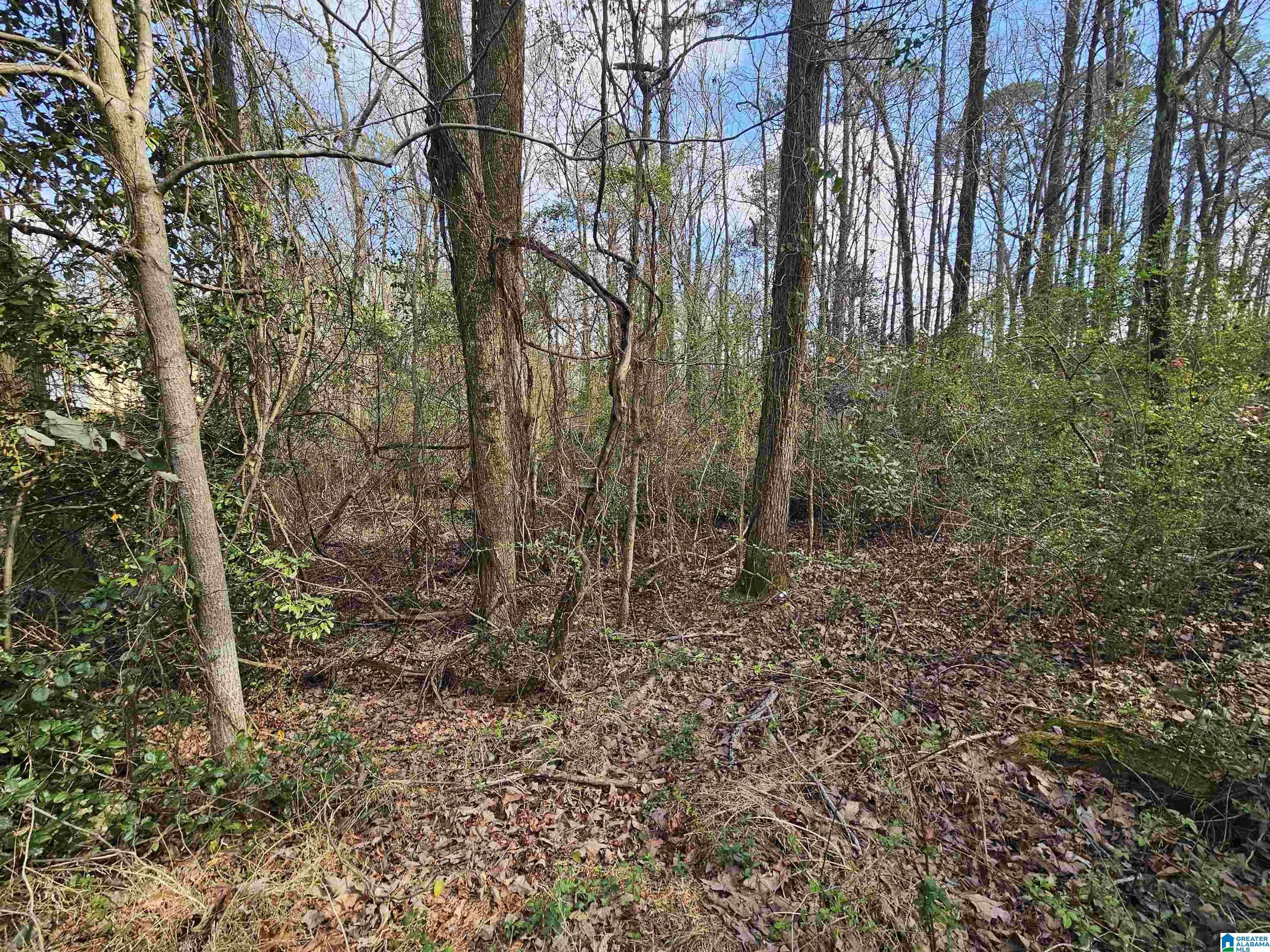Image 4: View