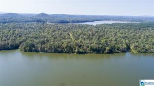 Lot 13 parcels RIVER RANCH RD