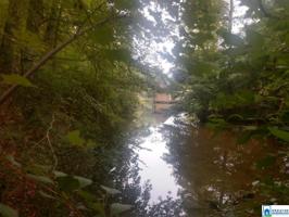 Lot 1 COVE DR