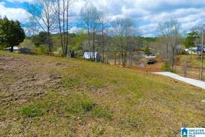 295 COUNTY ROAD 1293