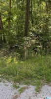 Lot 81 IRONWOOD CIRCLE