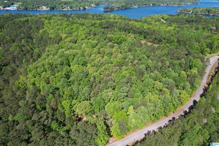 Lot 1 COUNTY ROAD 201