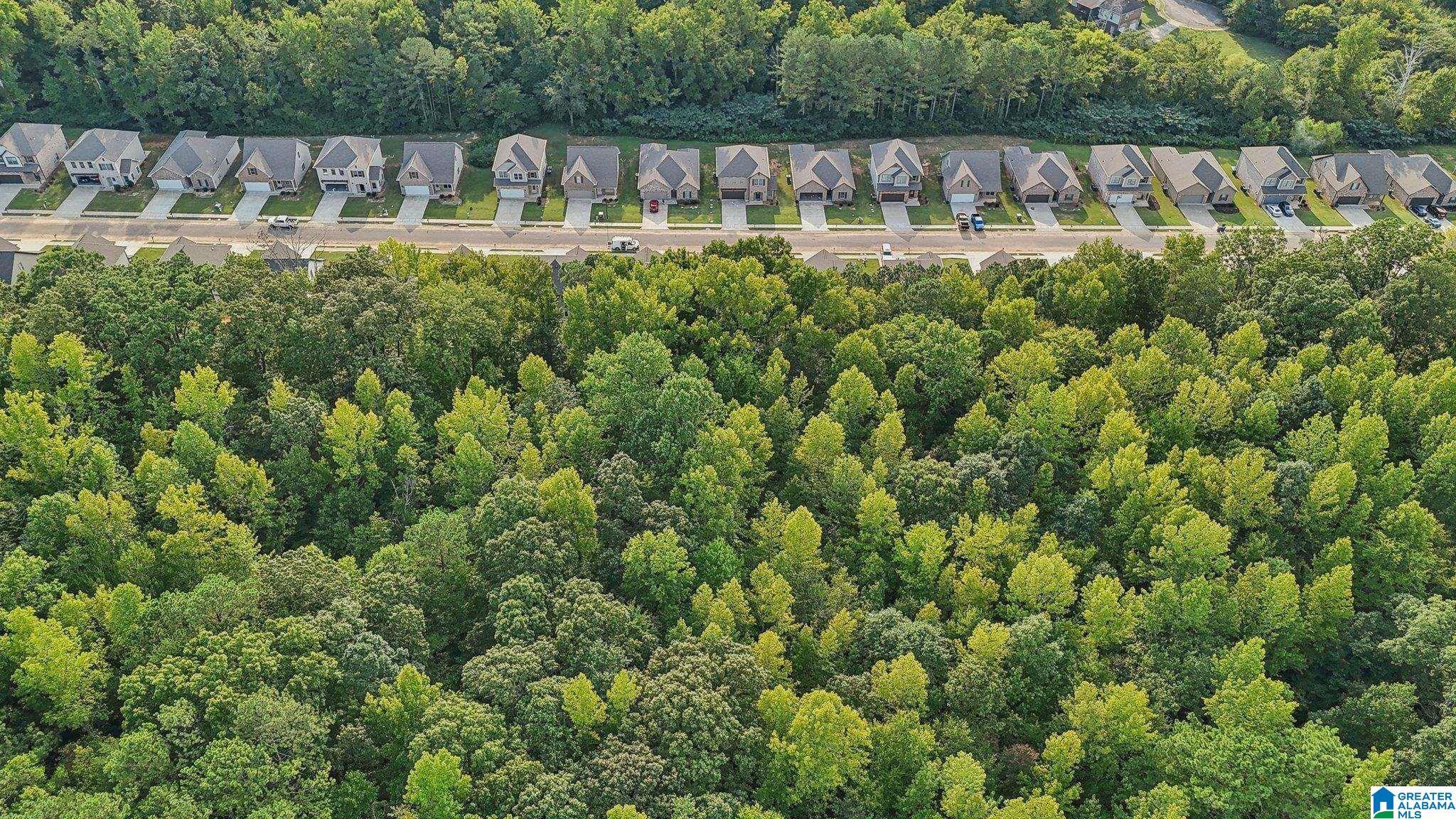 Image 2: Aerial View