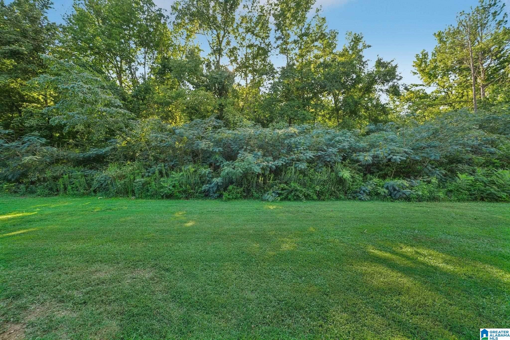 Image 4: Yard
