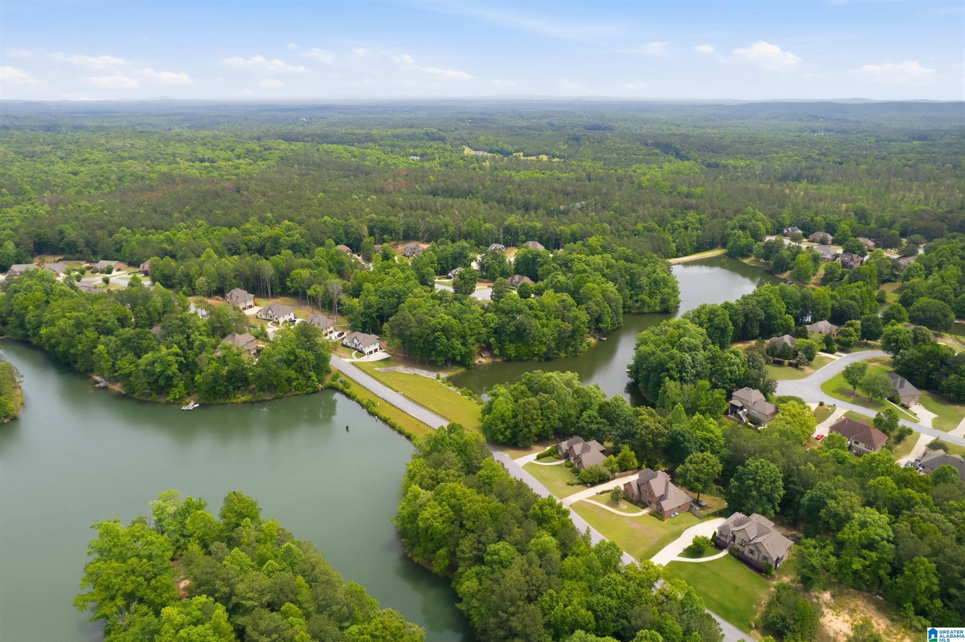 Image 2: Aerial View