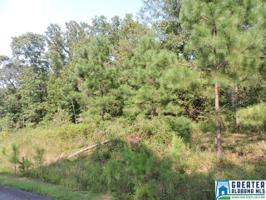 Lot 31 BROOKWATER POINTE