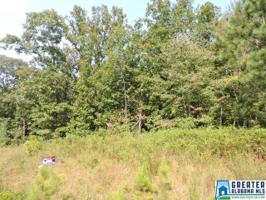 Lot 32 BROOKWATER POINTE