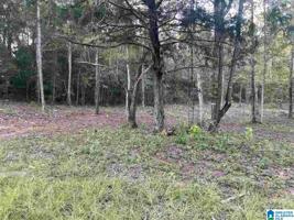 Lot 88 ESTHER CIRCLE