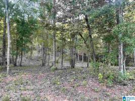 Lot 89 ESTHER CIRCLE