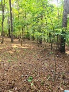 4972 COUNTY ROAD 804