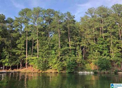 319 COUNTY ROAD 2404