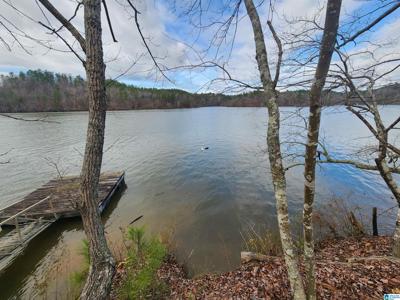 Lot 8 EAGLE POINT ROAD
