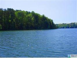 Lot 2 COUNTY ROAD 3908