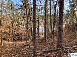 Lot 11 ROCK CREEK RD