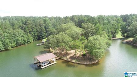 446 PINEYWOOD DRIVE