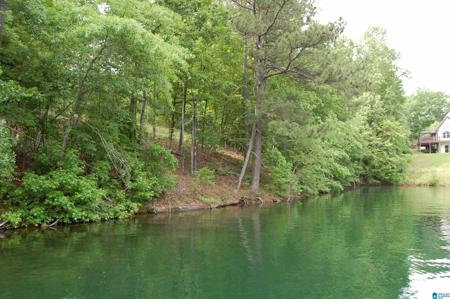 169 COUNTY ROAD 172 SW