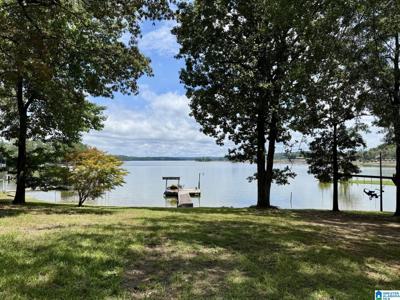 312 COUNTY ROAD 8951