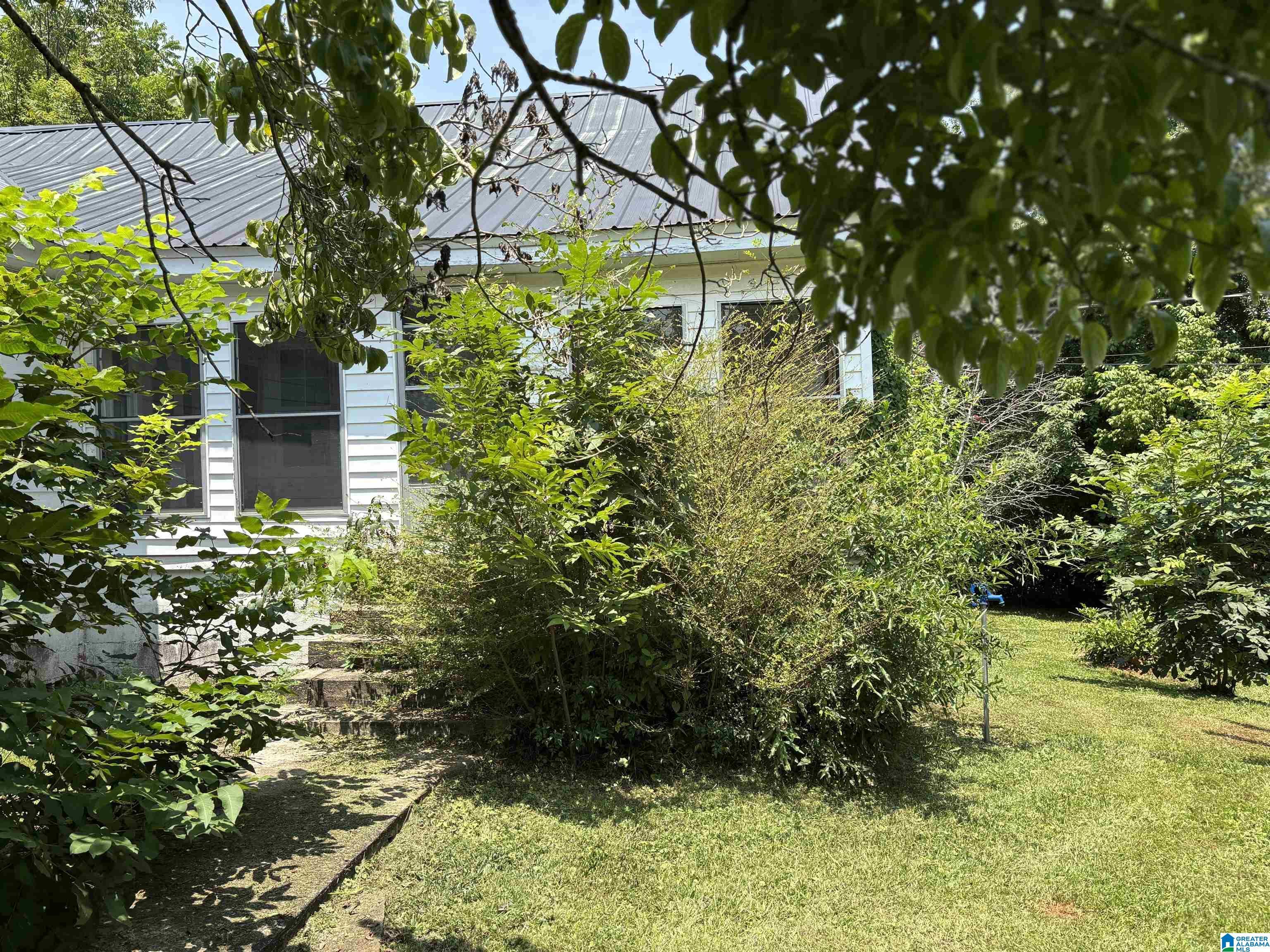 Image 2: Yard