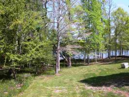 Lot 8 ACRES CO RD 8023