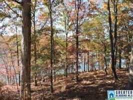 Lot 59 CO RD 6