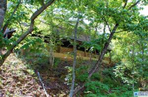 101 INDIAN SPRINGS RD