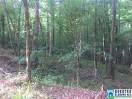 Lot 1 BIG Y COVE LOOP