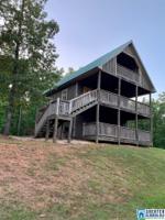 117 SWAGG COVE DR