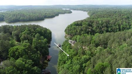Lot 31 COUNTY ROAD 2401