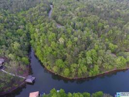 Lot 106 RIVER BIRCH RD