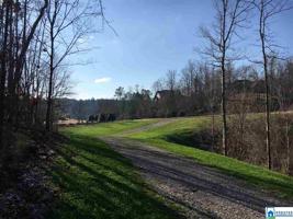 321 CAMP FORREST TRL