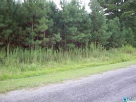 Lot 1 COUNTY ROAD 192