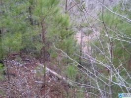 1 CO RD 335