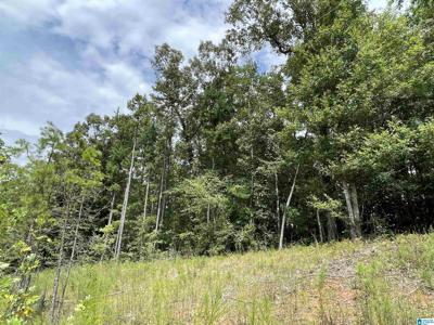 Lot 32 COUNTY ROAD 214