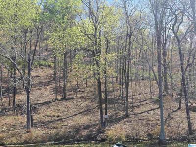 Lot 17 EAGLE POINT TRACE